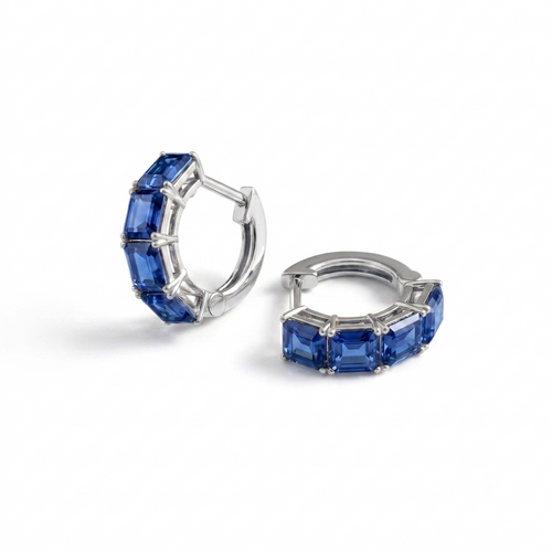 Hoops Earrings